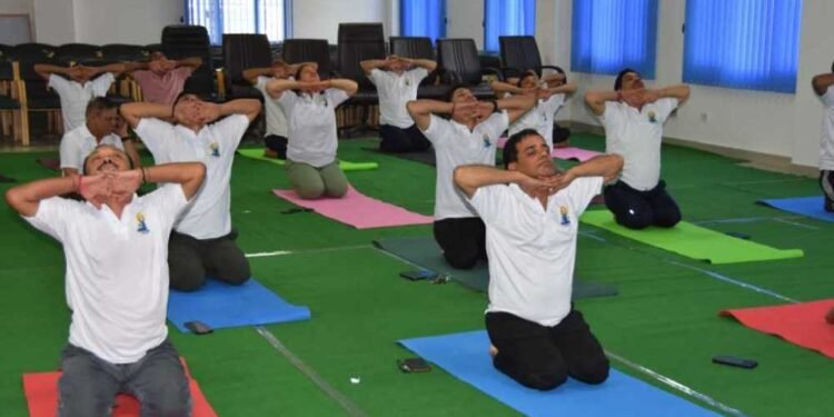 अंतरराष्ट्रीय योग दिवस के अवसर पर सूचना विभाग में किया गया योगाभ्यास